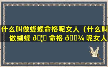 什么叫做蝴蝶命格呢女人（什么叫做蝴蝶 🦍 命格 🌾 呢女人命运）
